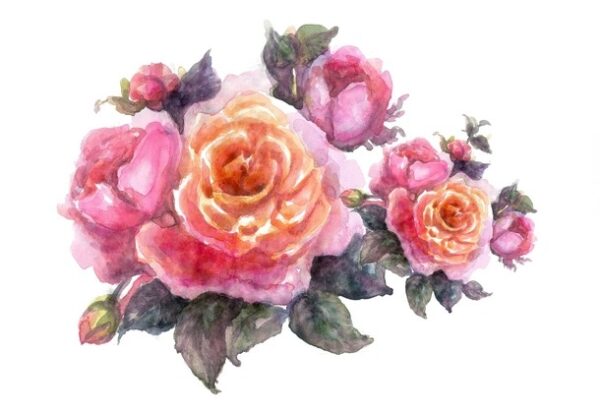 An illustration of vintage roses